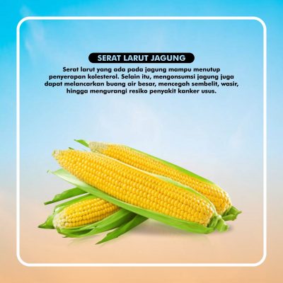1. SERAT LARUT JAGUNG