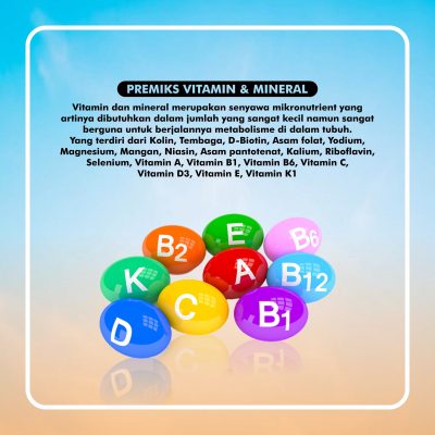 3. PREMIKS DAN MINERAL rev