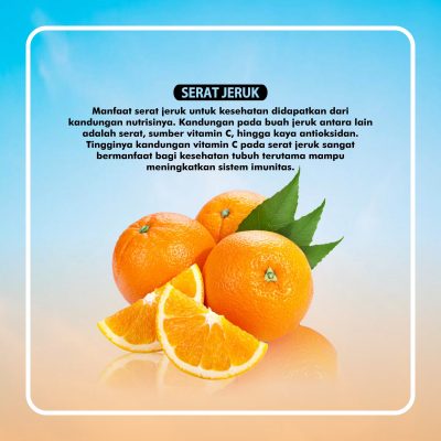 6. SERAT JERUK rev